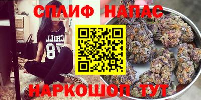хмурый Малгобек