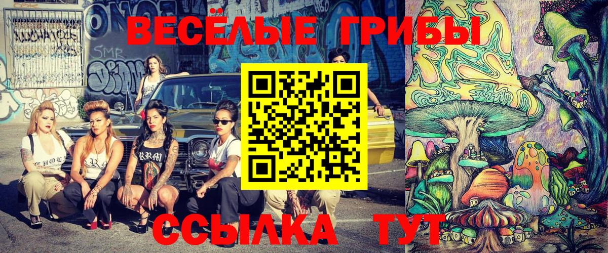 Псилоцибиновые грибы мухоморы  Псилоцибиновые грибы мухоморы  Гулькевичи  Вход с VPN 